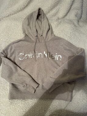 Calvin Klein Gray Logo Hoodie